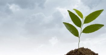 Presentan proyecto para incluir asignatura de Educación Medioambiental en currículum escolar