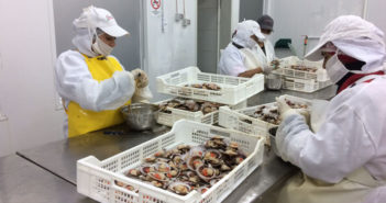 INE: Tasa de desocupación fue del 7,0% a nivel nacional