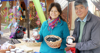 Campesina de La Higuera desafía al mercado con sus Olivas deshidratadas y Mermeladas de aceituna
