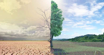 Región de O´Higgins: Invitan a participar de la consulta ciudadana sobre el Cambio Climático