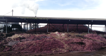 Región del Maule: Autoridad ambiental Instruye medidas provisionales por malos olores en Teno