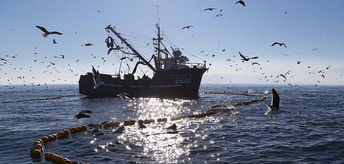 Cámara de Diputados aprueba nulidad de la Ley de Pesca vigente