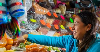 Visa Expande Finanzas Prácticas para Negocios: Recursos Educativos Gratuitos para Pymes