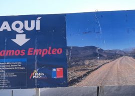 Región de Coquimbo: Obras de pavimentación irrumpen área Silvestre Protegida en Illapel