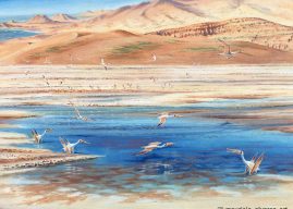 Región de Atacama: Descubren cementerio de pterosaurios que vivieron hace unos 140 millones de años en el desierto