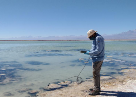 Región de Antofagasta: Proyecto hidrológico busca proteger y conservar lagunas altiplánicas