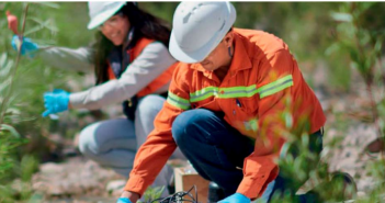 CNP y Alta Ley lanzarán nueva herramienta para medir variables de sustentabilidad en pilotajes