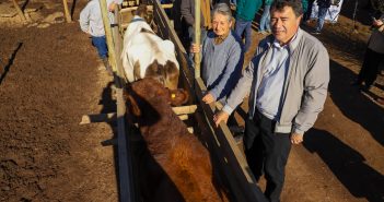 Ministro Valenzuela declara a la región de Valparaíso provisionalmente libre de brucelosis bovina