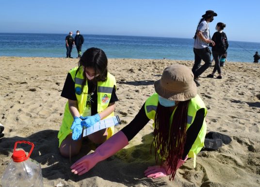 Región de Valparaíso: Estudiantes de Oceanografía realizarán talleres de alfabetización oceánica