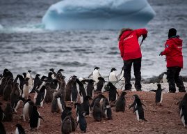 Región de Magallanes: Concurso de INACH financia 12 nuevos proyectos de investigación científica