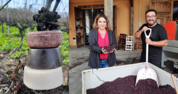 Región de O’Higgins: Emprendedoras colchagüinas innovan con cosmética de vino por sus propiedades antioxidantes
