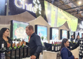 Wines of Chile debuta en Pro Wine Brasil 2022