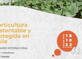 O’Higgins HortiCrece invita a participar de seminario internacional sobre agricultura protegida