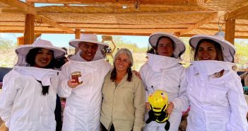 Región de Tarapacá: Apicultora cultiva miel en el desierto más árido del mundo