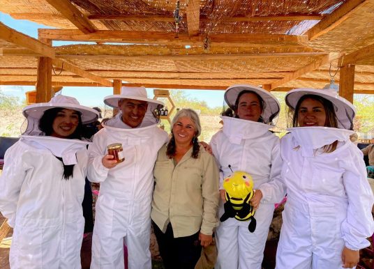 Región de Tarapacá: Apicultora cultiva miel en el desierto más árido del mundo