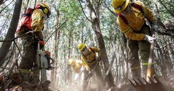 Conaf y Corma llaman a prevenir incendios ante pronóstico de altas temperaturas