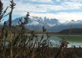 Diputados aprueban creación del Servicio de Biodiversidad y Áreas Protegidas