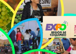 Artesanos y productores locales darán vida a una nueva versión Expo Región de Coquimbo