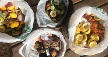 Jóvenes crean emprendimiento de retiro de residuos orgánicos y entrega de compost por suscripción