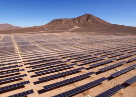 Startup ecológicas: el futuro de la innovación
