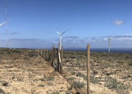 [Región de Atacama] SMA inicia procesos sancionatorios contra dos generadoras de energía y una minera