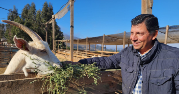 David Pastén, productor de queso de cabra: “De perder todo pasé a descubrir una pasión en mi vida”