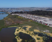 [Región de Valparaíso] Histórica conciliación en proceso de reclamación por rechazo a declarar humedal Urbano Ojos de Mar en San Antonio