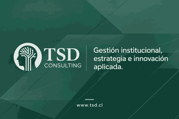 Banner_TSD Consulting